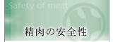 ̈S